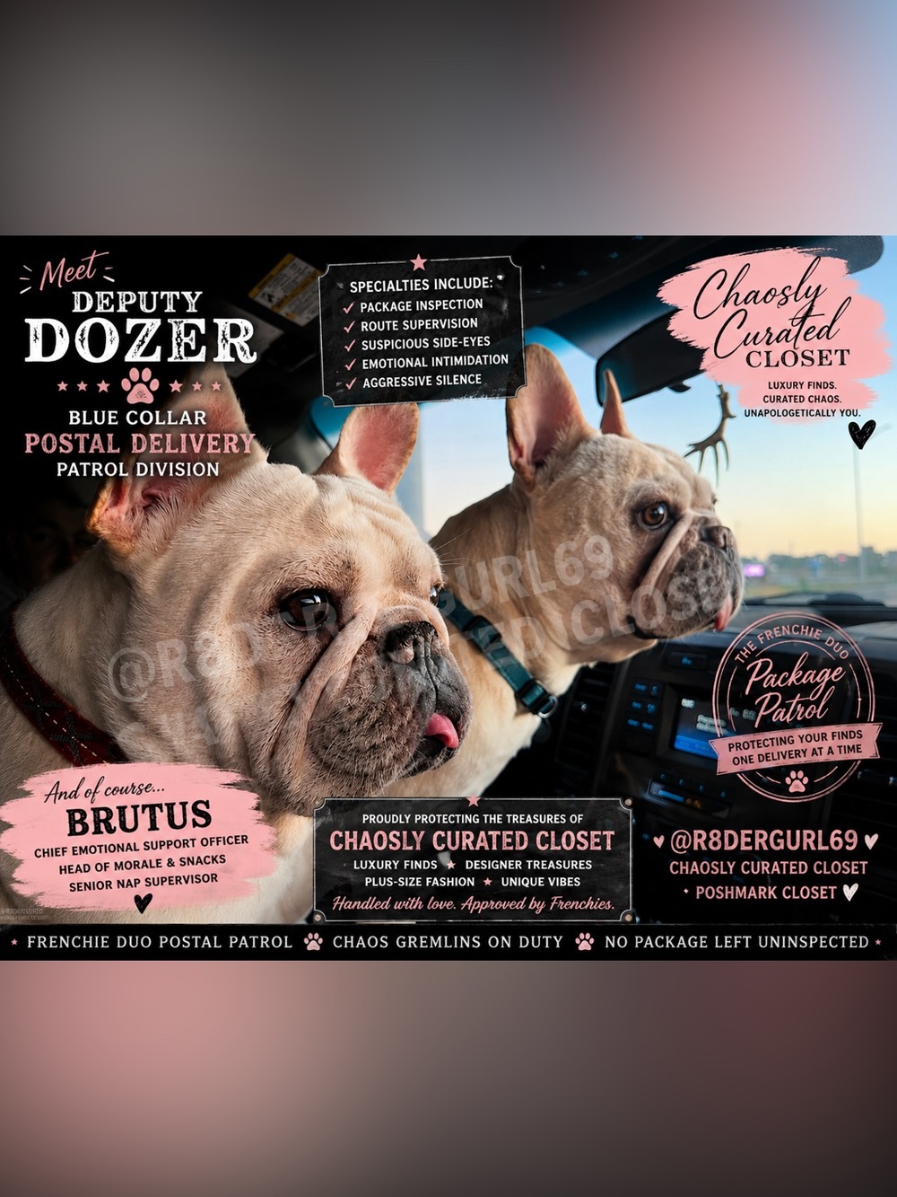🚨 Meet Deputy Dozer 🚨
Blue Collar Postal Delivery Patrol Division